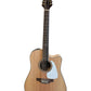 Docerola Takamine GD74